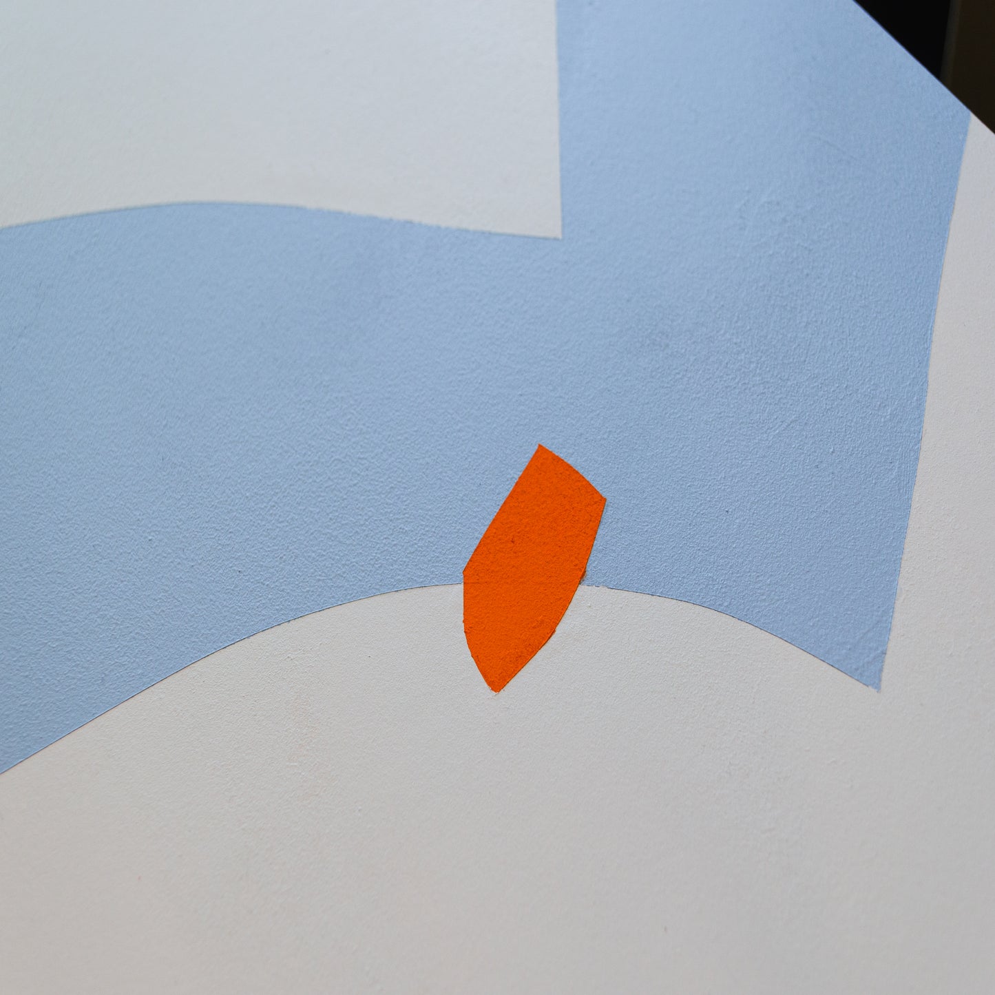Seagull2